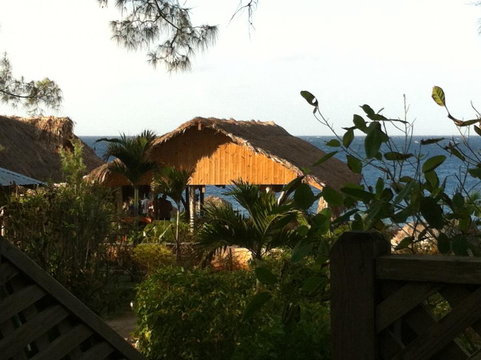Name:  Jamaica November 2012 047.jpg
Views: 636
Size:  91.3 KB