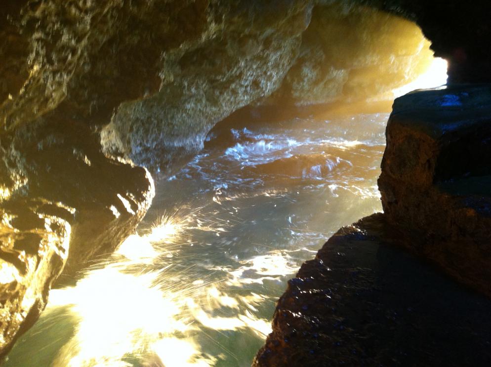 Name:  Jamaica November 2012 152.jpg
Views: 541
Size:  92.8 KB