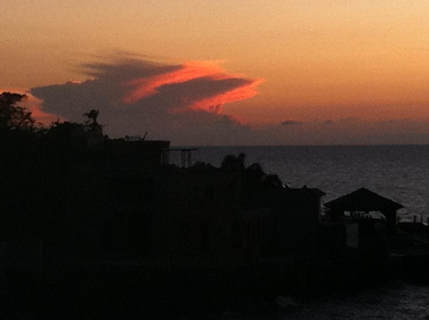 Name:  Jamaica November 2012 159.jpg
Views: 540
Size:  78.3 KB