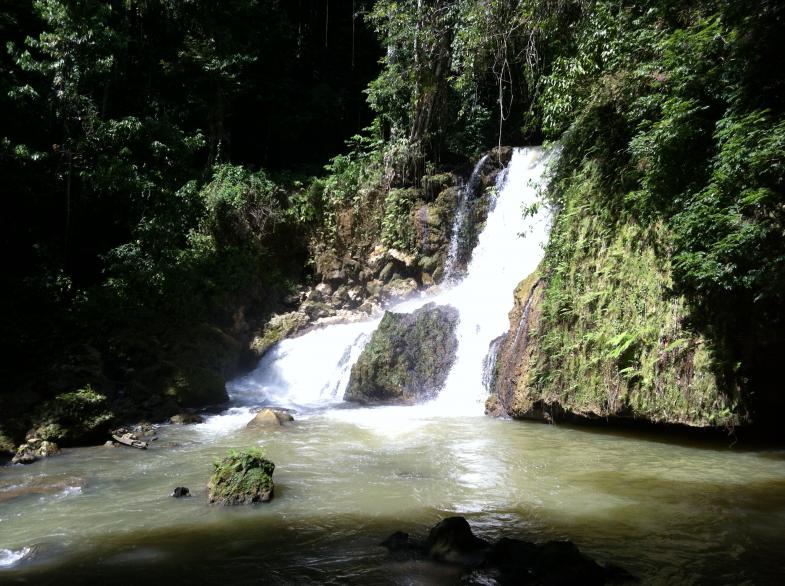 Name:  Jamaica November 2012 175.jpg
Views: 446
Size:  98.4 KB
