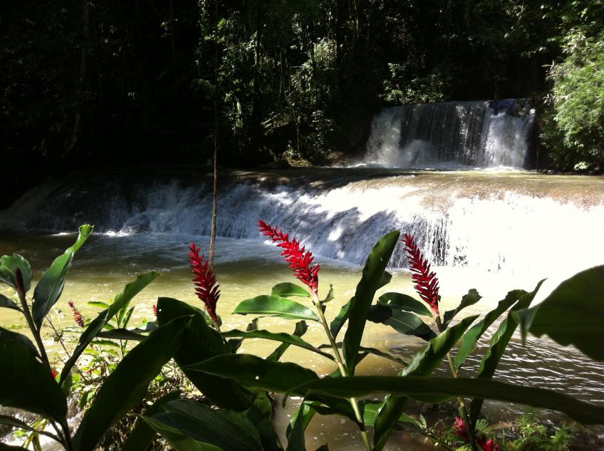 Name:  Jamaica November 2012 182.jpg
Views: 442
Size:  96.8 KB