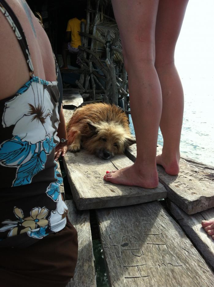 Name:  Jamaica November 2012 217.jpg
Views: 441
Size:  94.6 KB