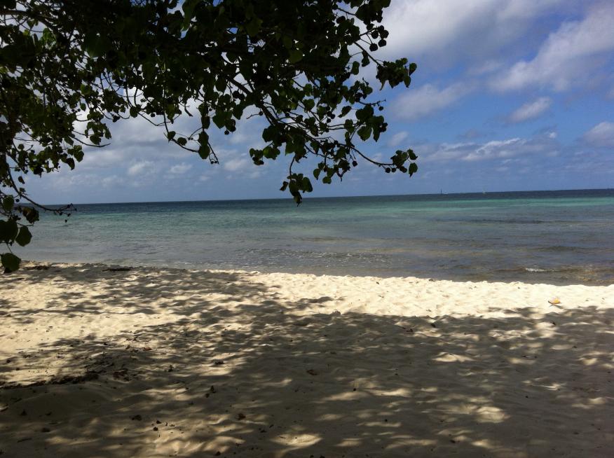 Name:  Jamaica November 2012 262.jpg
Views: 456
Size:  95.6 KB