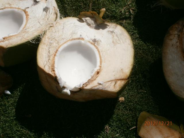 Name:  Hard Jelly.JPG
Views: 437
Size:  38.6 KB