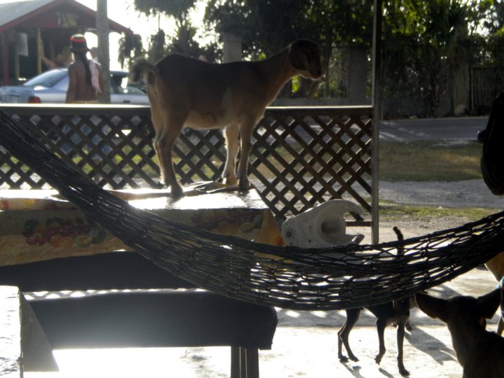 Name:  165688_196687773678978_6469487_n.jpg
Views: 418
Size:  79.2 KB