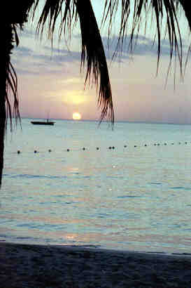 Name:  135b.jpg
Views: 332
Size:  11.3 KB