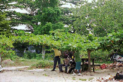 Name:  605b.jpg
Views: 343
Size:  22.7 KB