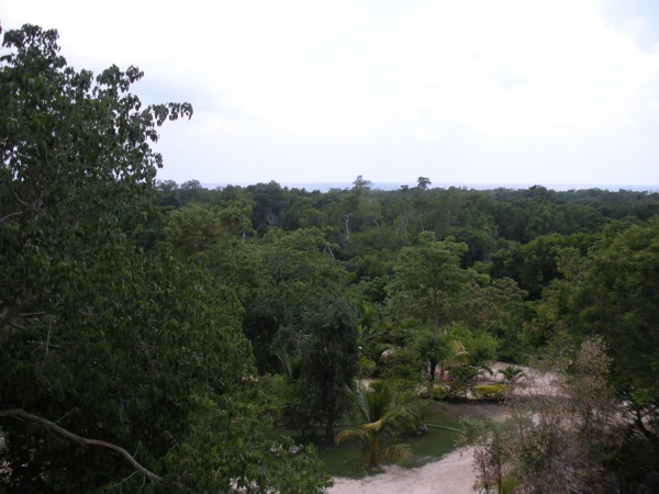 Name:  DSCN0181.JPG
Views: 238
Size:  82.5 KB