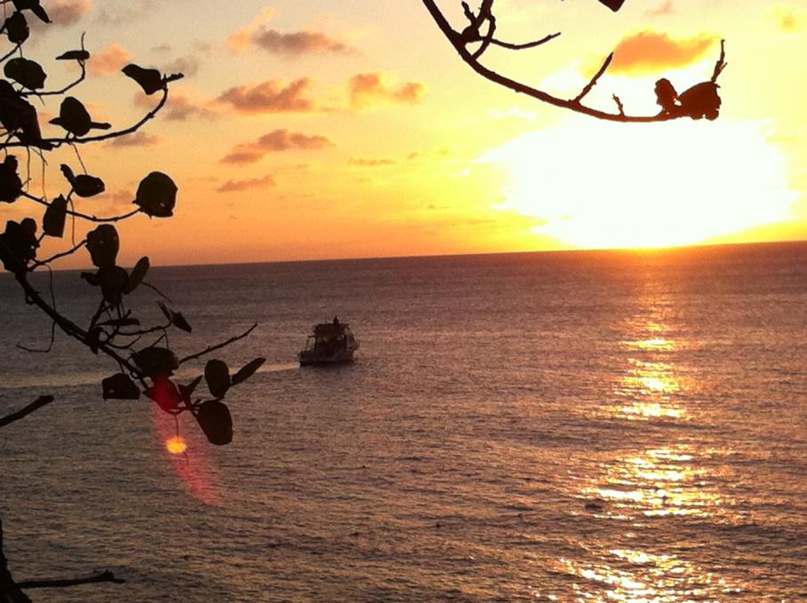 Name:  Jamaica November 2012 304.jpg
Views: 364
Size:  94.7 KB