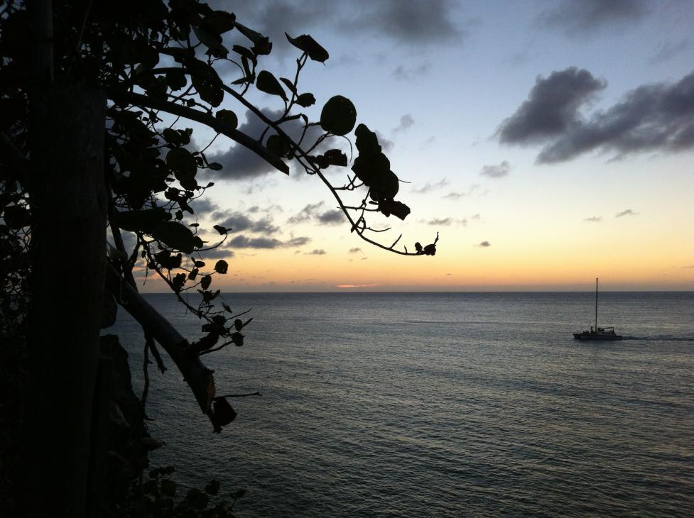 Name:  Jamaica November 2012 314.jpg
Views: 379
Size:  94.8 KB