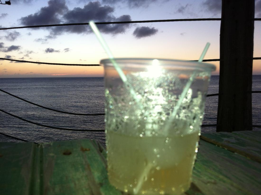Name:  Jamaica November 2012 319.jpg
Views: 391
Size:  89.9 KB
