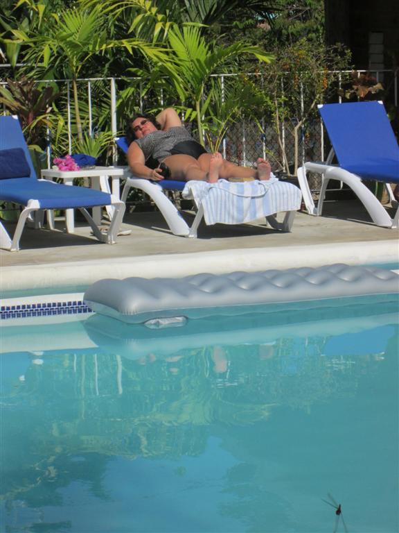 Name:  Negril Dec 2012 117.JPG
Views: 492
Size:  76.3 KB