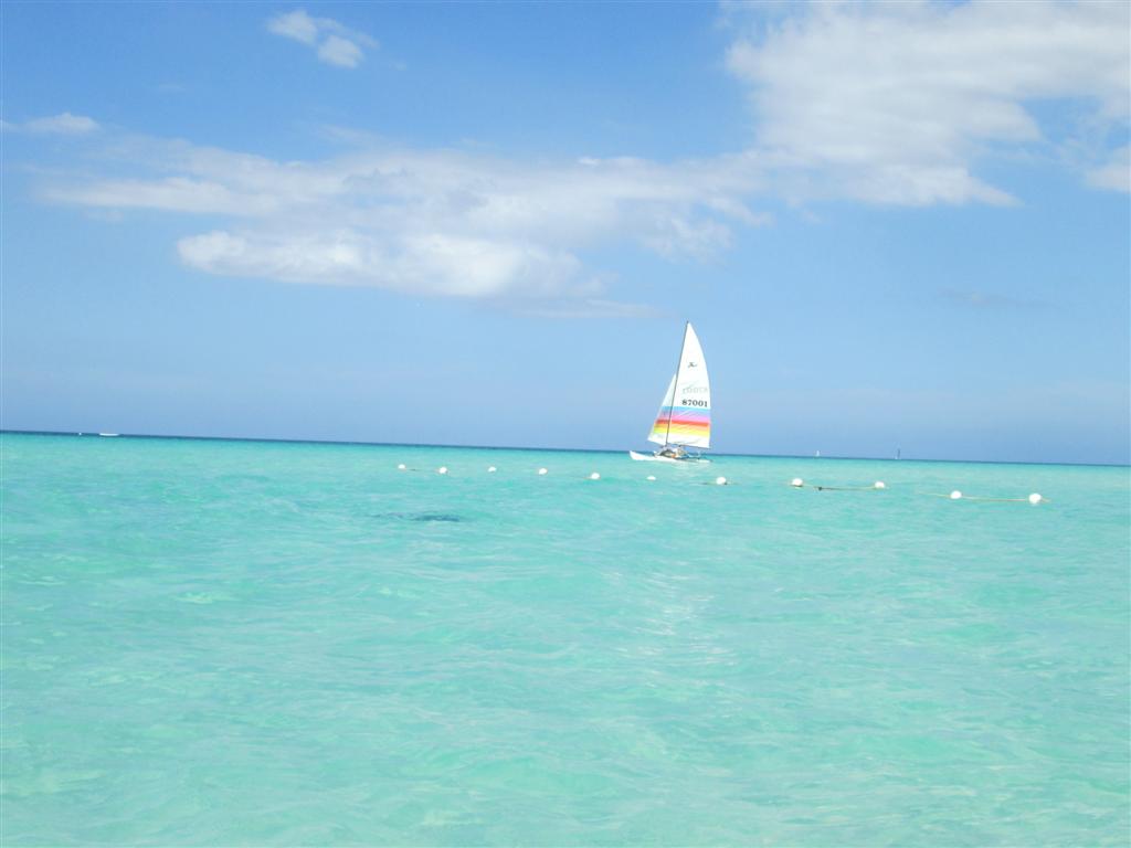 Name:  Negril Dec 2012 103.JPG
Views: 496
Size:  58.6 KB