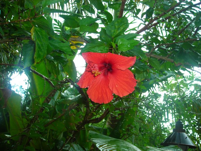 Click image for larger version. 

Name:	DSCN2554.jpg 
Views:	481 
Size:	99.3 KB 
ID:	2109