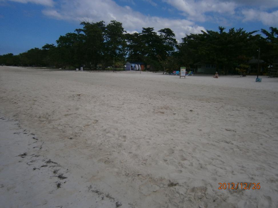 Name:  PC260030.jpg
Views: 402
Size:  71.2 KB