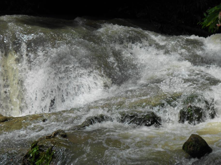 Name:  DSCN0577.jpg
Views: 761
Size:  93.6 KB