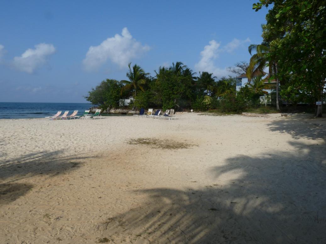 Name:  negril Feb 16-2010 2010-02-24 001.jpg
Views: 495
Size:  92.1 KB