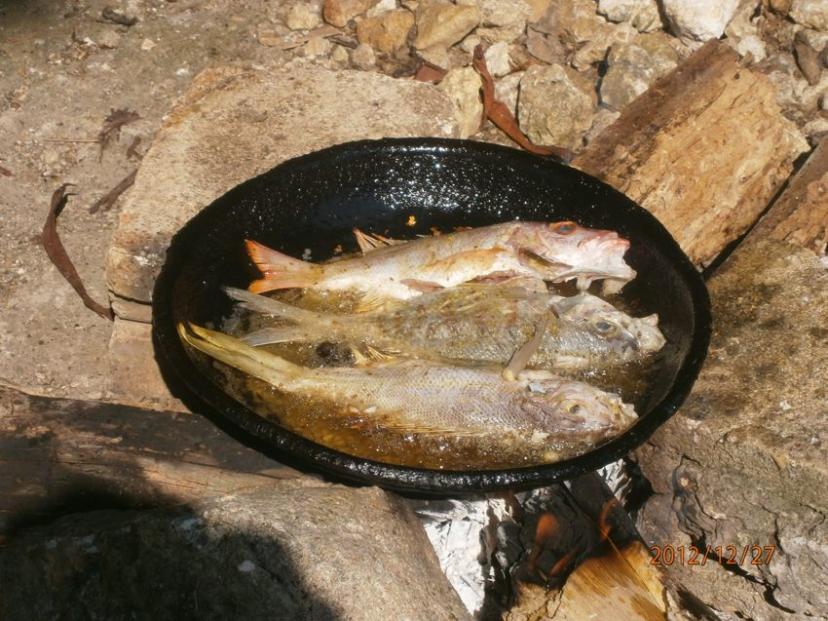 Name:  Fry Fish.jpg
Views: 403
Size:  97.4 KB