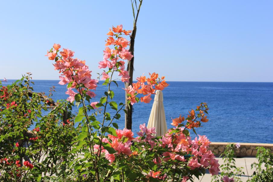 Name:  IMG_0954.jpg
Views: 636
Size:  98.8 KB