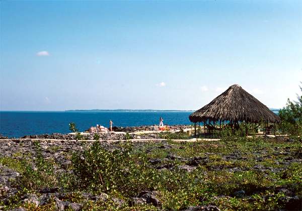 Name:  ss2.jpg
Views: 2149
Size:  38.6 KB