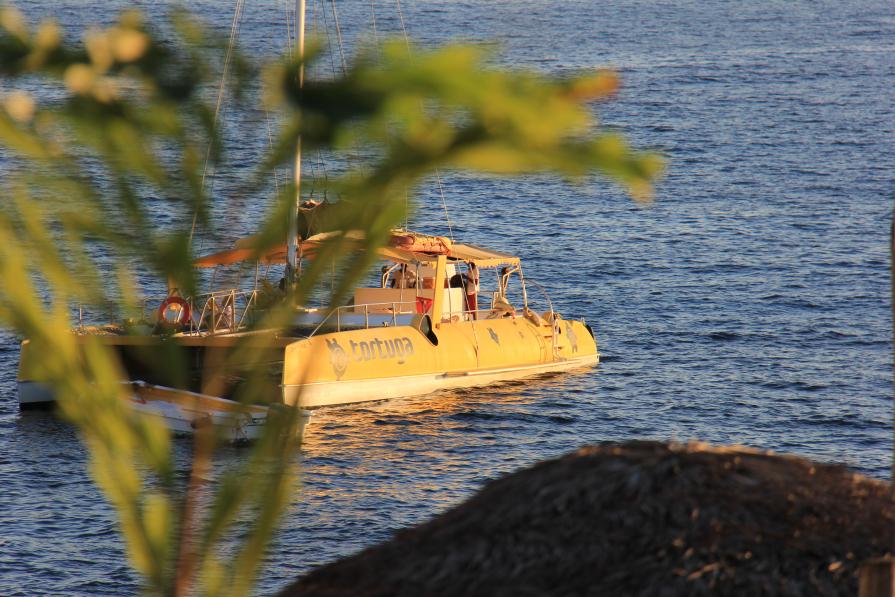 Name:  IMG_1064.jpg
Views: 659
Size:  98.4 KB
