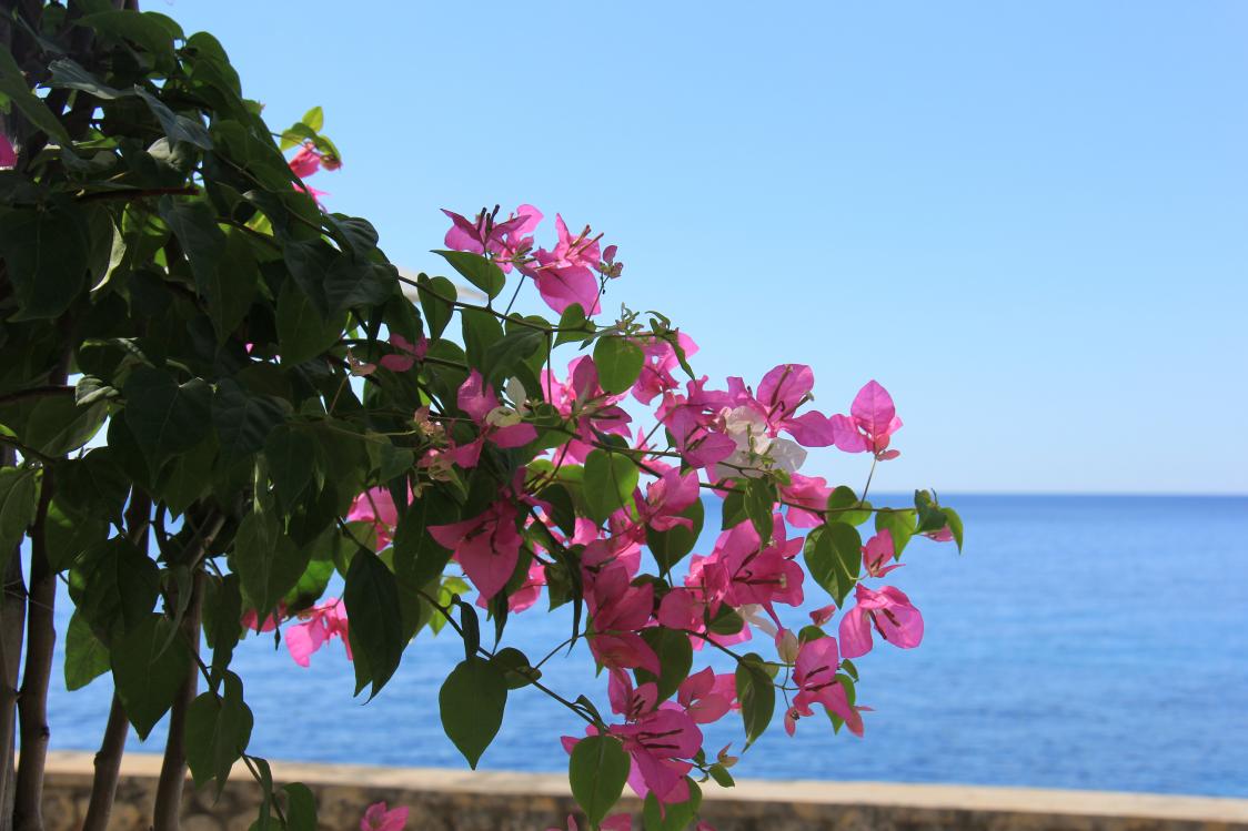 Name:  IMG_1054.jpg
Views: 718
Size:  88.7 KB