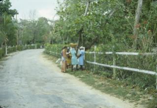 Name:  Untitled-48.jpg
Views: 2209
Size:  14.0 KB