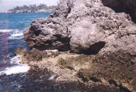 Name:  10399.jpg
Views: 881
Size:  17.5 KB