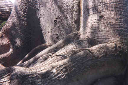 Name:  10499.jpg
Views: 889
Size:  16.2 KB