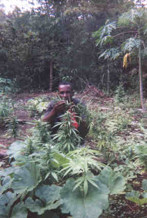 Name:  20399.jpg
Views: 876
Size:  15.9 KB
