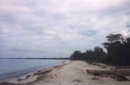 Name:  30799.jpg
Views: 722
Size:  7.6 KB