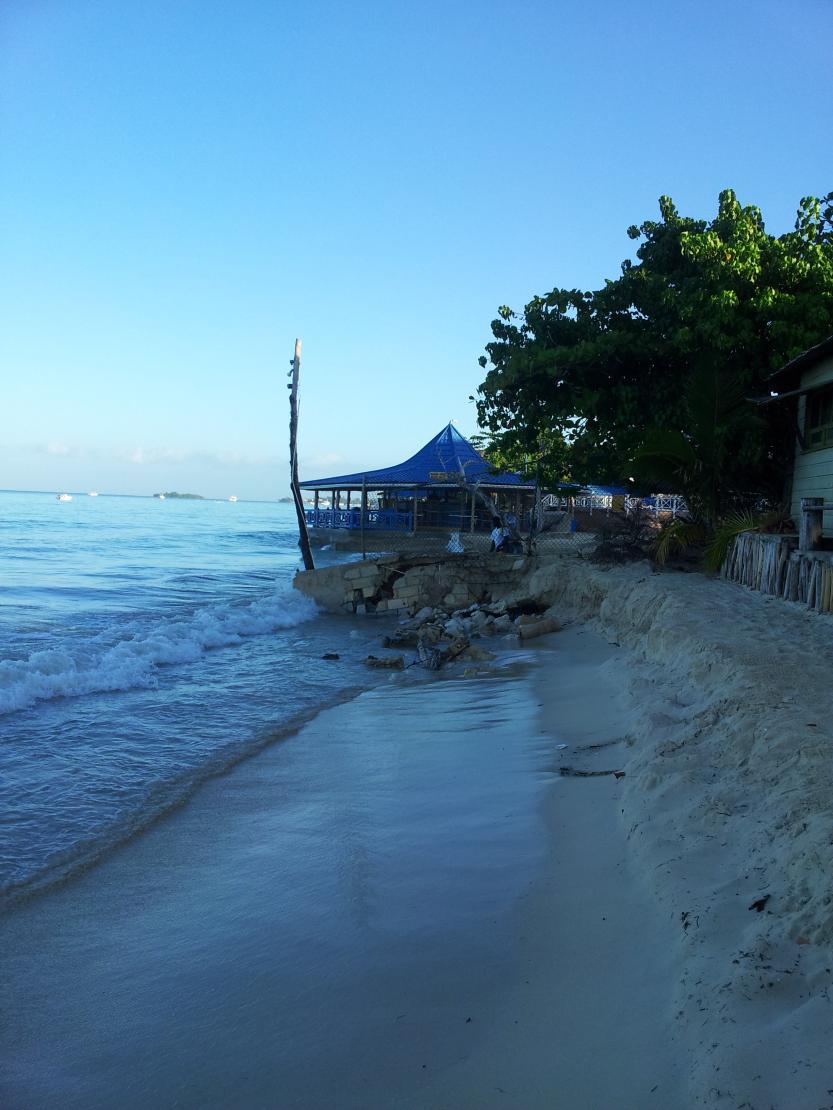 Name:  2012-12-24 07.30.58.jpg
Views: 797
Size:  95.1 KB