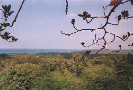 Name:  61399.jpg
Views: 520
Size:  12.7 KB