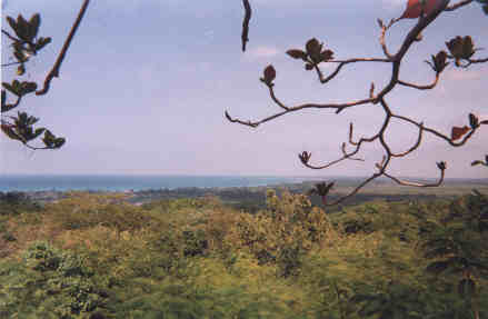 Name:  61499.jpg
Views: 521
Size:  12.5 KB