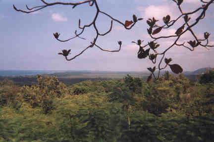 Name:  61599.jpg
Views: 526
Size:  12.4 KB