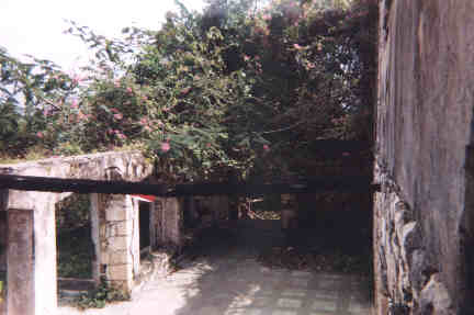 Name:  61699.jpg
Views: 543
Size:  14.3 KB