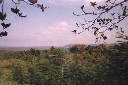 Name:  40399.jpg
Views: 528
Size:  12.6 KB