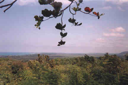 Name:  40499.jpg
Views: 512
Size:  10.8 KB
