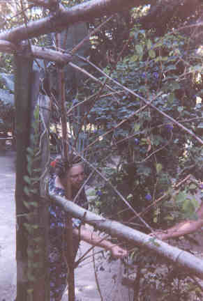 Name:  40699.jpg
Views: 538
Size:  15.0 KB