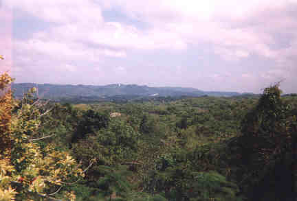Name:  50399.jpg
Views: 507
Size:  11.2 KB