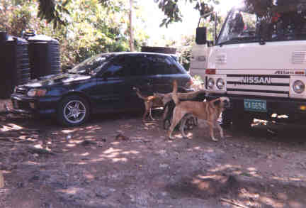 Name:  50599.jpg
Views: 532
Size:  15.1 KB