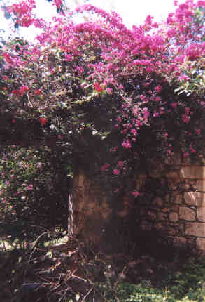 Name:  50699.jpg
Views: 464
Size:  18.3 KB