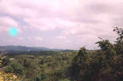 Name:  60499.jpg
Views: 511
Size:  9.4 KB