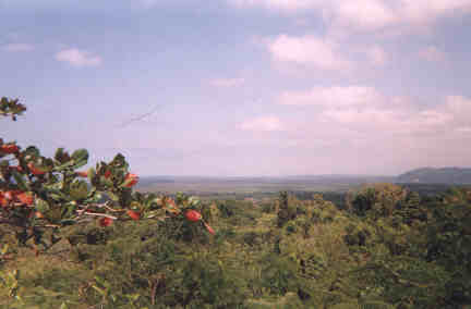Name:  60599.jpg
Views: 546
Size:  10.2 KB