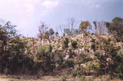 Name:  60699.jpg
Views: 513
Size:  14.2 KB