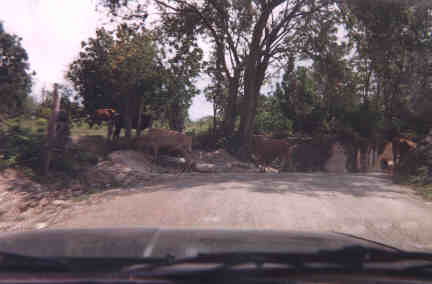 Name:  60799.jpg
Views: 507
Size:  12.3 KB