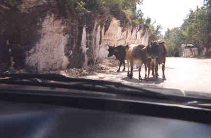 Name:  60899.jpg
Views: 533
Size:  10.4 KB