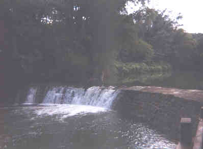 Name:  71399.jpg
Views: 421
Size:  7.6 KB