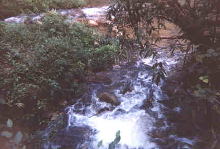 Name:  71699.jpg
Views: 422
Size:  14.1 KB