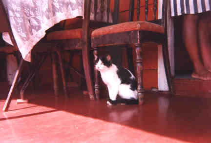 Name:  72399.jpg
Views: 429
Size:  11.6 KB